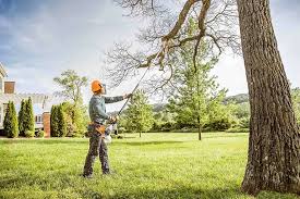 Best Emergency Tree Removal  in Orange, CA